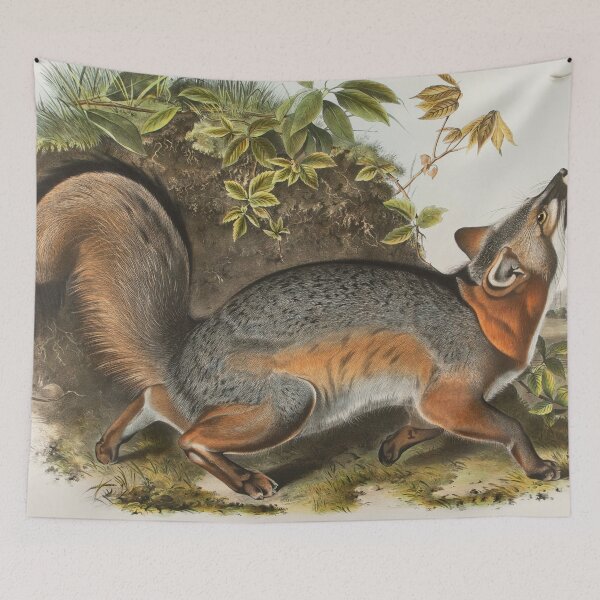 Item preview, Canis (Vulpes) Virginianus,Grey Fox designed and sold by Ouijawedge.
