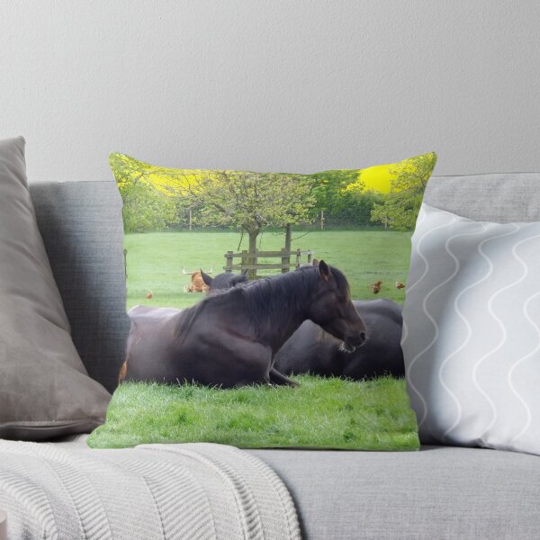 Item preview, Caballos, pollos y un Highland Coo designed and sold by William Lighterness.