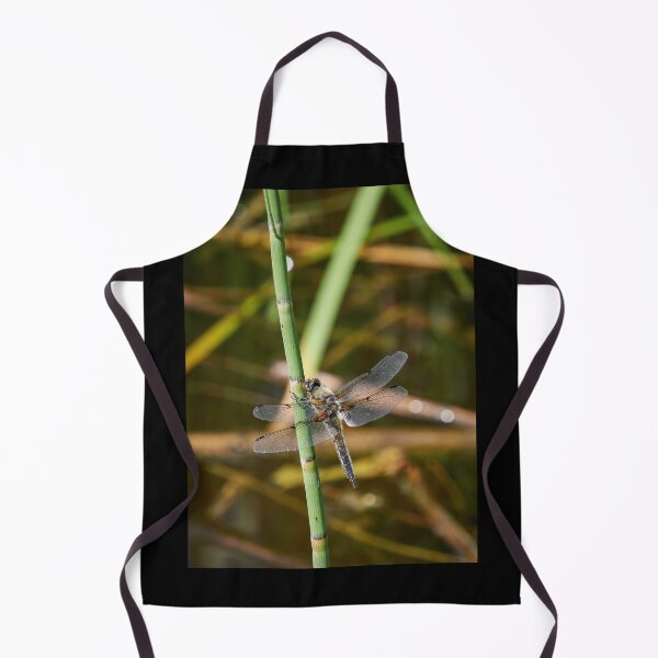 Item preview, There is time to rest and time to fly. Four-spotted chaser designed and sold by Jouko Lehto Photography.