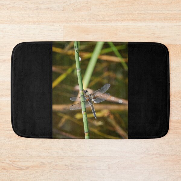 Item preview, There is time to rest and time to fly. Four-spotted chaser designed and sold by Jouko Lehto Photography.