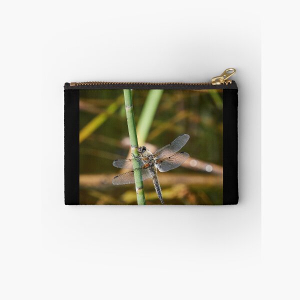 Item preview, There is time to rest and time to fly. Four-spotted chaser designed and sold by Jouko Lehto Photography.