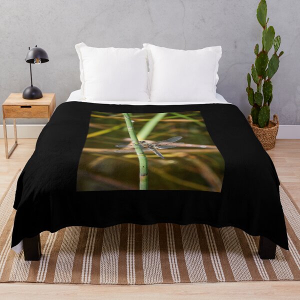 Item preview, There is time to rest and time to fly. Four-spotted chaser designed and sold by Jouko Lehto Photography.
