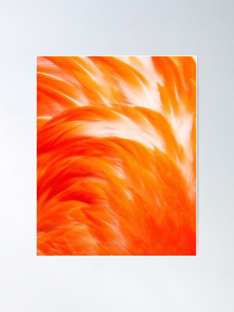 Flamingo Feathers in Orange White Red Skin Hide Poster for Sale by dennieb