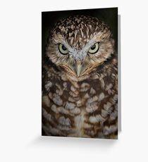 Little Bully Greeting Card