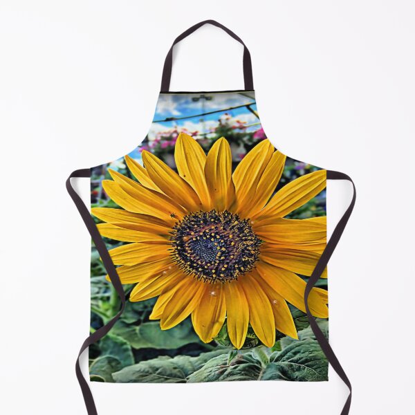 Item preview, Sun Kissed designed and sold by Catherine Melvin.