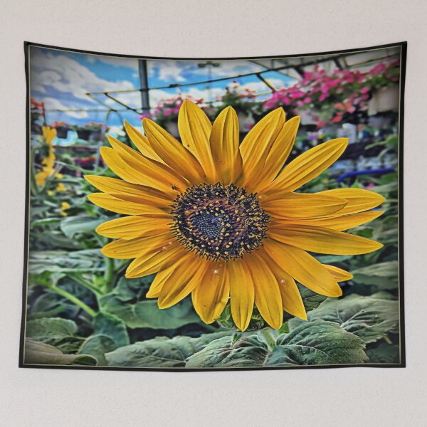 Item preview, Sun Kissed designed and sold by Catherine Melvin.