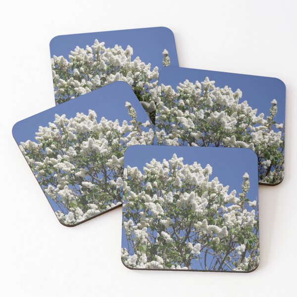 Item preview, Common lilac white flower blossom and blue sky designed and sold by EstelleRossetti.