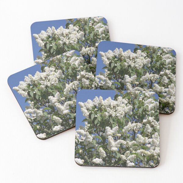 Item preview, Common lilac white flower blossom and blue sky designed and sold by EstelleRossetti.