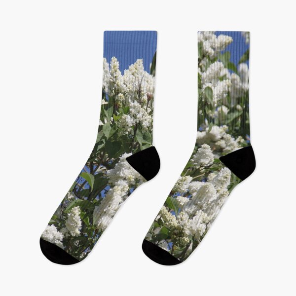 Item preview, Common lilac white flower blossom and blue sky	 designed and sold by EstelleRossetti.