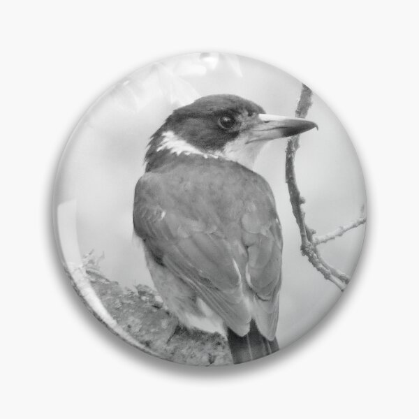 Item preview, Australian Birds - Butcher Bird designed and sold by Elizabeth Gregory.