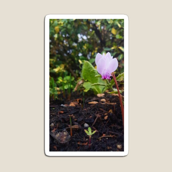 Flower garden Magnet