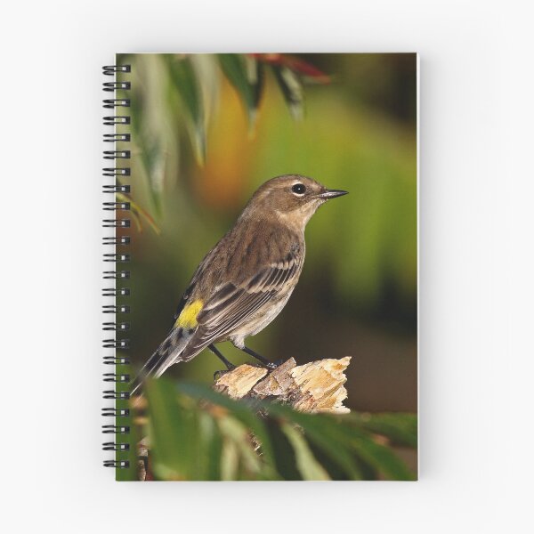 Item preview, Yellow-Rumped Warbler designed and sold by James Cumming.