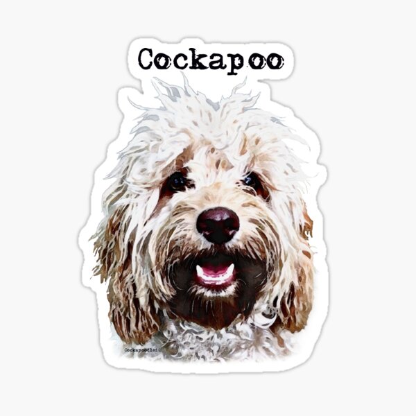 Item preview, Apricot Blonde Cockapoo  designed and sold by Happy Dog Doodles.