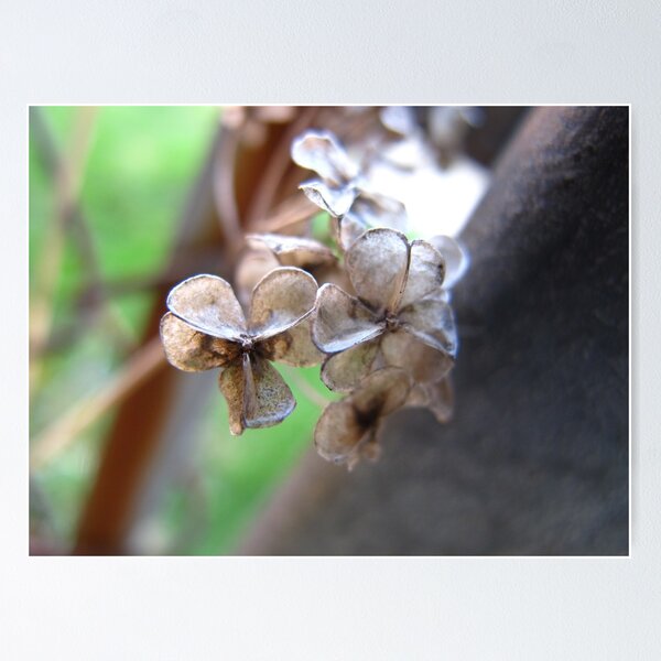 Item preview, Circular Seeds designed and sold by MarianBendeth.