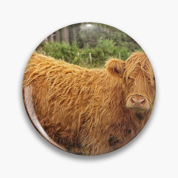 Item preview, Scottish Highland cow designed and sold by Photopat.