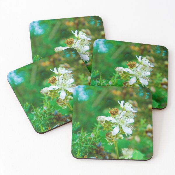 Item preview, Daisy in a forest designed and sold by TomInWales.