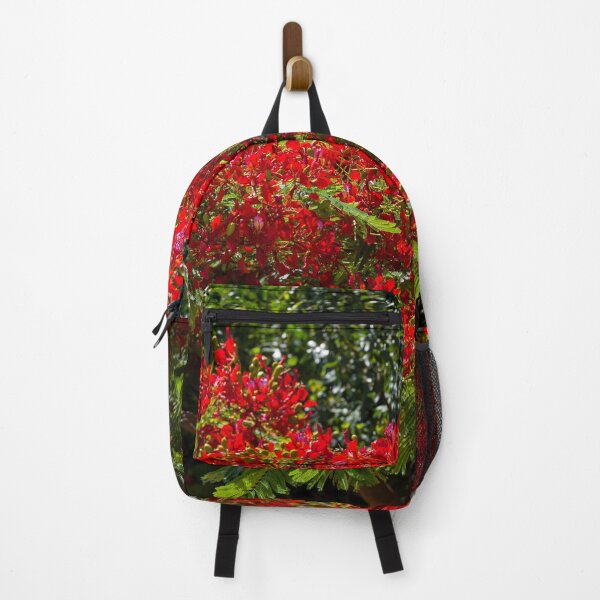 Item preview, Red flowers on a delonix regia tree designed and sold by iCimages.net.