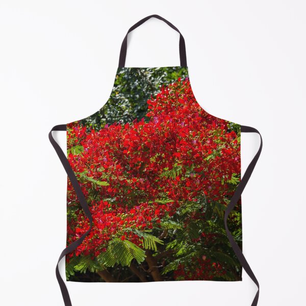 Item preview, Red flowers on a delonix regia tree designed and sold by iCimages.net.