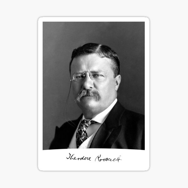 Item preview, Theodore Roosevelt Signature Portrait designed and sold by stayfree101.