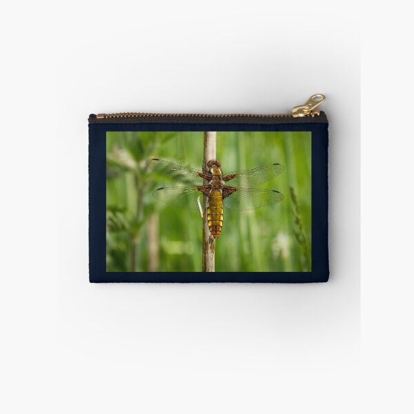 Item preview, Female Broard Bodied Chaser Dragonfly designed and sold by Jane Stanley Photography.