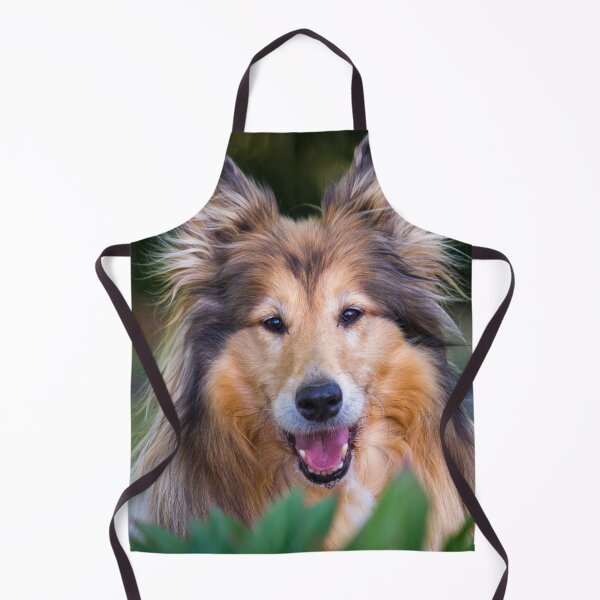 Item preview, Collie Surprise designed and sold by KarenWoodArt.