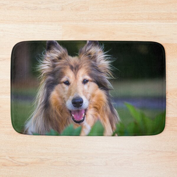 Item preview, Collie Surprise designed and sold by KarenWoodArt.