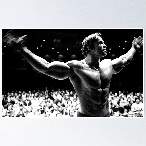 Arnold Schwarzenegger Bodybuilding Photo Poster Wall Print Arnie Mr  Universe 04