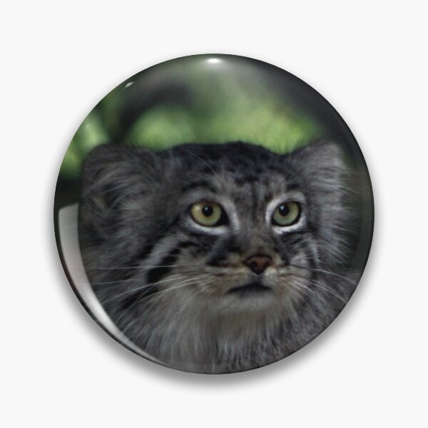 Item preview, Pallas Cat designed and sold by Ladymoose.