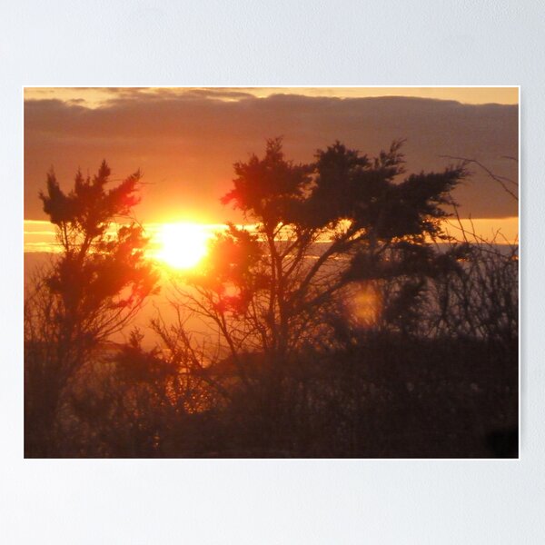 Photograph - Sunset 1 Poster