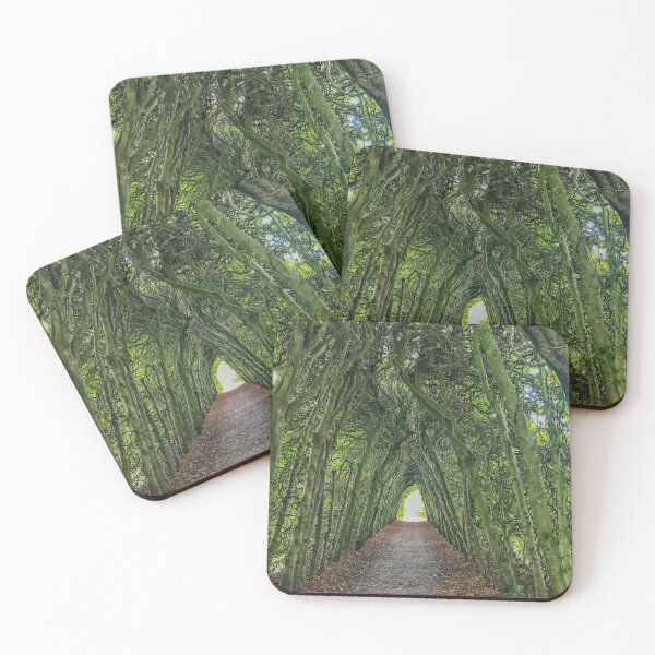 Item preview, Tunnel of trees designed and sold by Photopat.