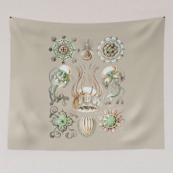 Item preview, Aegina. Hydrozoans with dome-shaped bells and tentacles set above the undulating margin. designed and sold by Squirrox.