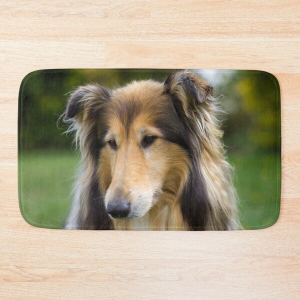 Item preview, Collie Focus designed and sold by KarenWoodArt.