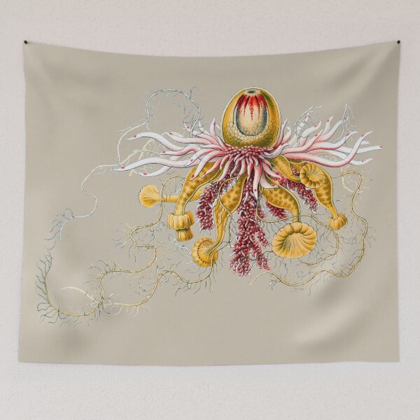 Item preview, Epibulia, a siphonophore - a colonial marine invertebrate that can superficially resemble a jellyfish. designed and sold by Squirrox.