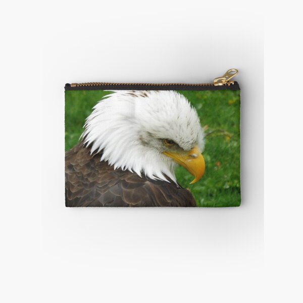 Item preview, The American Bald Eagle designed and sold by William Lighterness.
