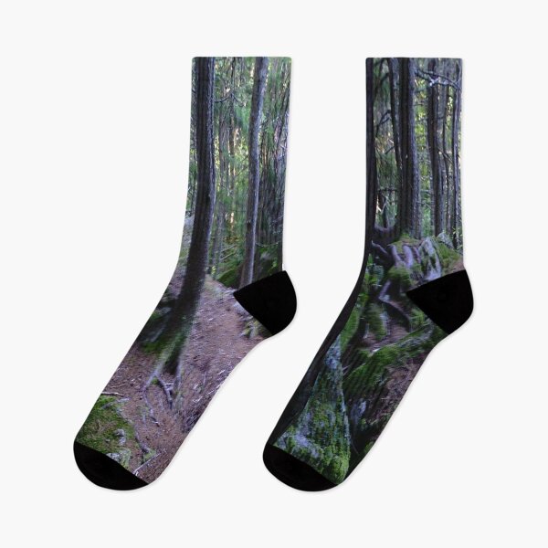 Item preview, Up the Appalachian Trail designed and sold by BellsPainting.