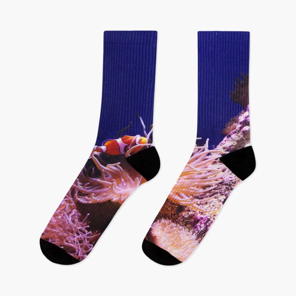 Item preview, Clown fish in reef designed and sold by lolla-doesstuff.