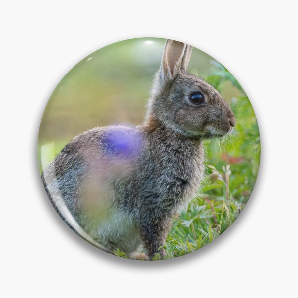 Artikelvorschau, Wilder Hase entworfen und verkauft von iCimages.net.