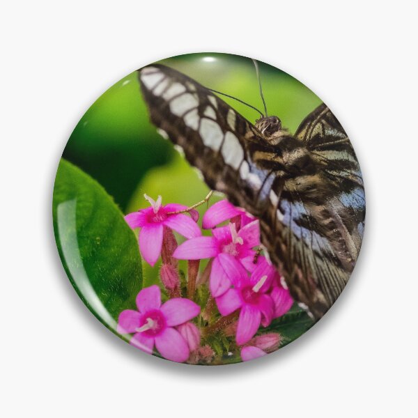 Artikelvorschau, Schmetterling und rosa Blumen entworfen und verkauft von iCimages.net.