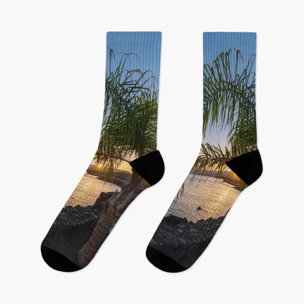Artikelvorschau, Sonnenuntergang über der Palme entworfen und verkauft von iCimages.net.