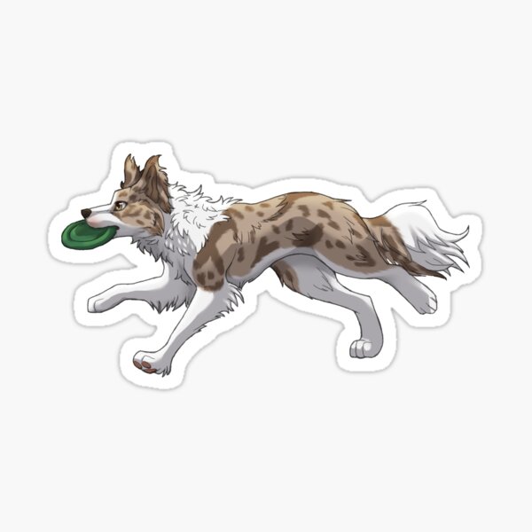 Item preview, Running Red lilac Merle Border Collie with Frisbee  designed and sold by Bamsdrawz.