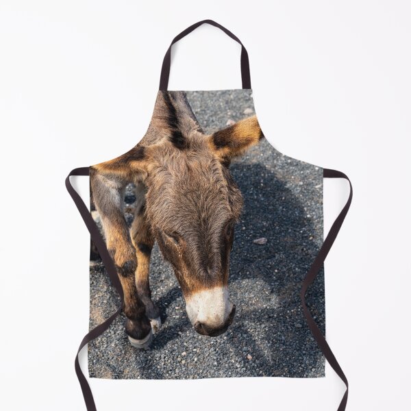 Item preview, Donkey designed and sold by iCimages.net.