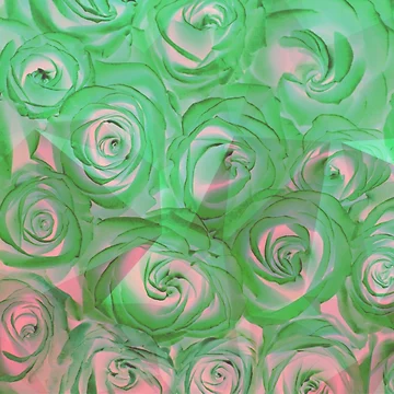 Artwork thumbnail, Abstract Roses by StudioNeely