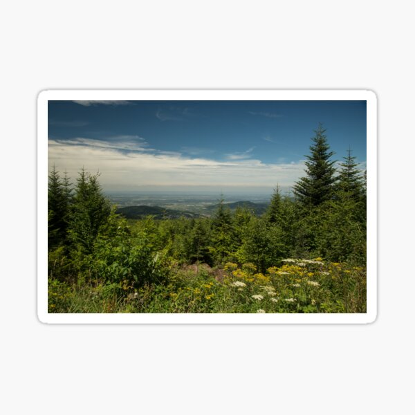 Black Forest landscape Sticker