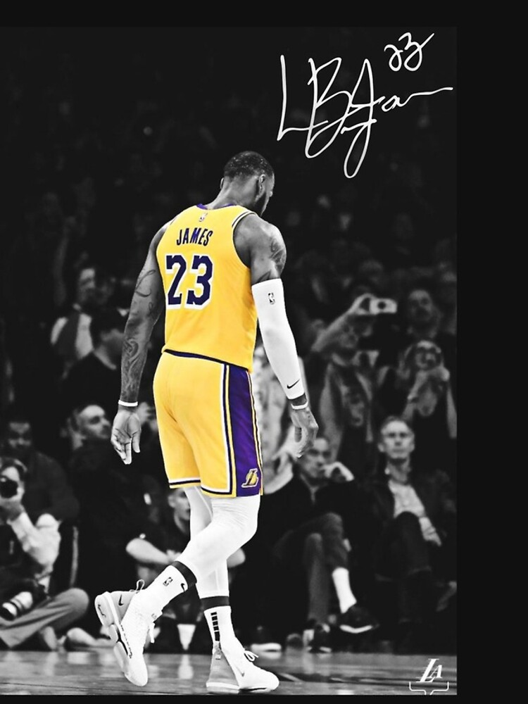lebron james by joff11