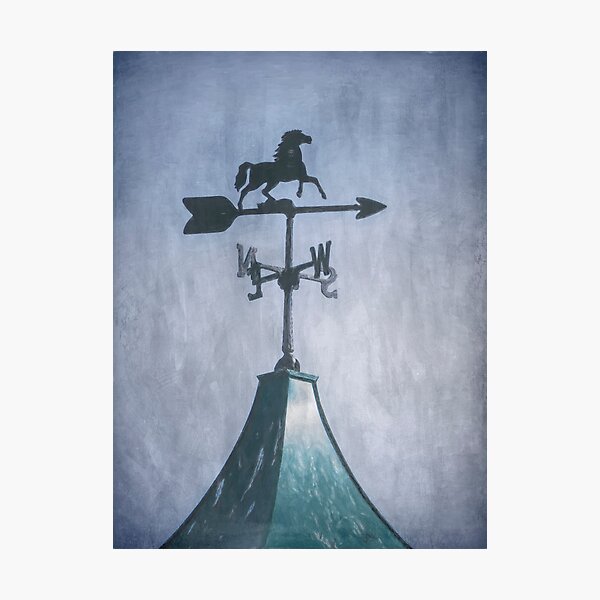 Running Free Weather Vane Photographic Print