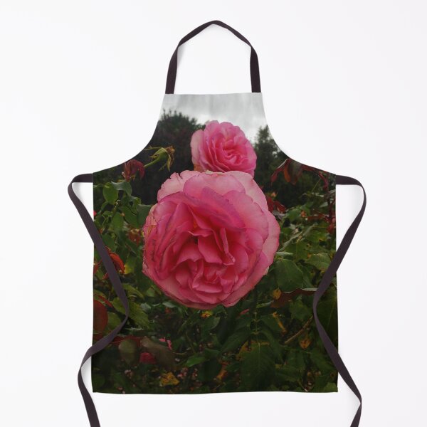 Item preview, Round Pink Rose designed and sold by The Rage Garden.