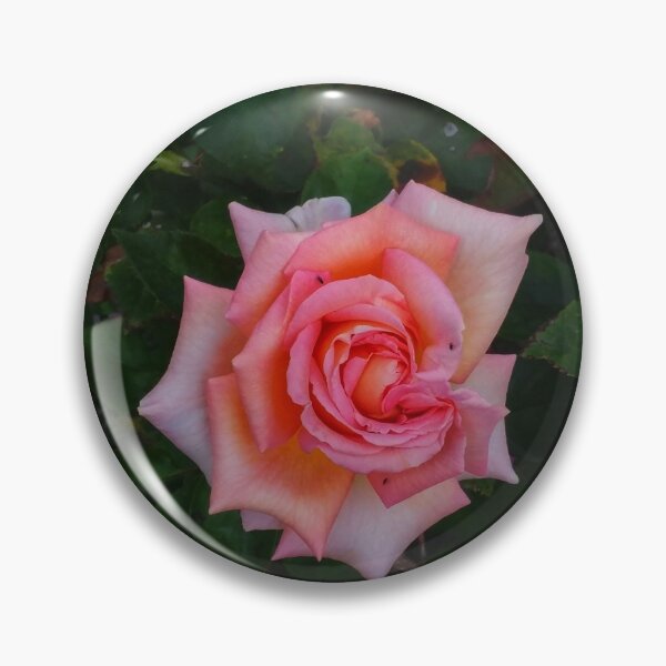 Artikelvorschau, Rosa eckige Rose entworfen und verkauft von The Rage Garden.