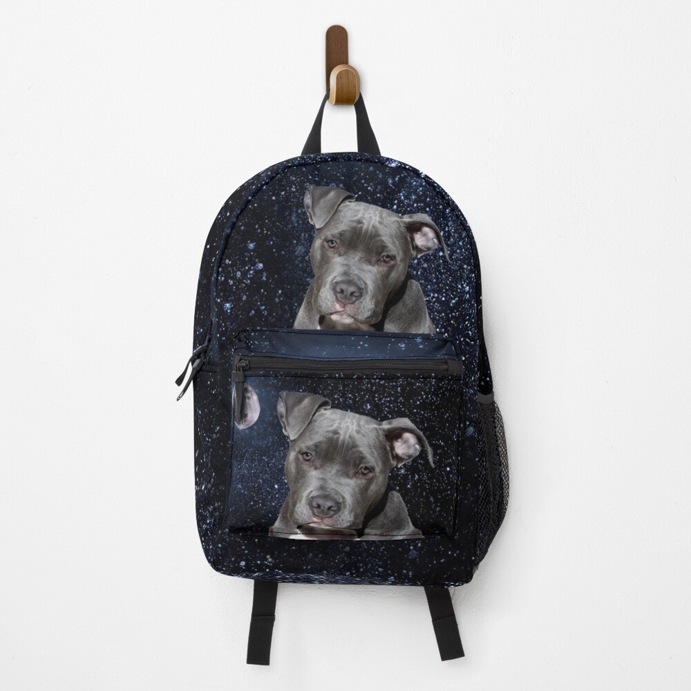 pitbull backpack