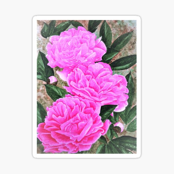 Item preview, three pink peonies designed and sold by Creativecow.
