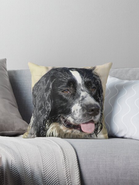 Item preview, Sprocker Spaniel designed and sold by Claire Stanford.